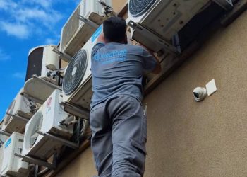 WhatsApp Image 2026-03-17 at 13.39.13